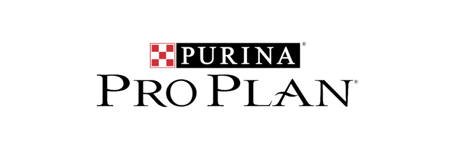 Pro Plan